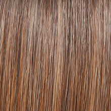 Load image into Gallery viewer, Hairdo 18" Simply Straight Wrap-Around Ponytail, Color RL12/22 Cappuccino