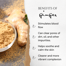 Load image into Gallery viewer, Golden Milk Infused Botanical Toner