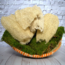 Load image into Gallery viewer, Ugandan Exfoliator Natural Loofah (Ekyangwe)