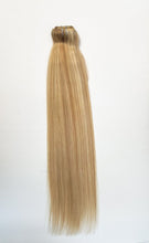 Load image into Gallery viewer, VIP Clip Extensions / Silky Straight 24" (170 g) - ClipeX System