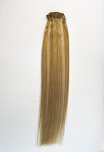 Load image into Gallery viewer, VIP Clip Extensions / Silky Straight 24" (170 g) - ClipeX System
