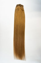 Load image into Gallery viewer, VIP Clip Extensions / Silky Straight 24" (170 g) - ClipeX System