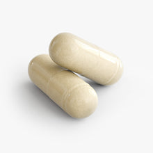 Load image into Gallery viewer, Daily Digestive Support – Probiotics, Prebiotics &amp; Enzymes for Digestive Support
