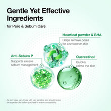 Load image into Gallery viewer, Heartleaf Quercetinol Pore Deep Cleansing Foam, Face Wash for Pore Refining Cleanser, Hydrating Daily Facial Cleanser for Double Cleansing, Gentle Foaming with BHA, Korean Skincare, 5.07 Fl.Oz.
