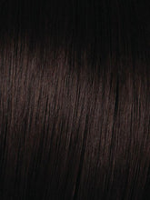 Load image into Gallery viewer, Hairdo 25" Straight Wrap-Around Pony (HF Synthetic Ponytail)
