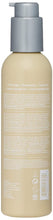 Load image into Gallery viewer, Abba Smoothing Blow-dry Lotion
