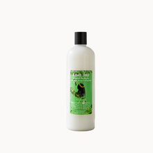 Load image into Gallery viewer, Spearmint Eucalyptus Revitalizing Shampoo
