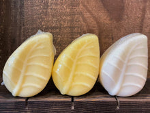 Load image into Gallery viewer, Hair Conditioner Bar - Straight &amp; Fine
