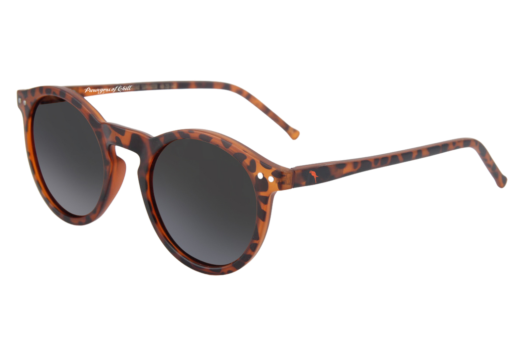 Latitudes Sunglasses