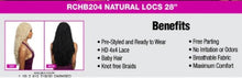 Load image into Gallery viewer, Mane Concept 4&quot; HD Deep Braid Lace Front Wig Natural Locs, 28 in
