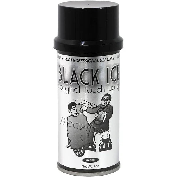 Black Ice TouchUp Spray