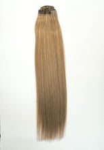 Load image into Gallery viewer, VIP Clip Extensions / Silky Straight 24" (170 g) - ClipeX System
