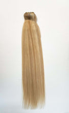 Load image into Gallery viewer, VIP Clip Extensions / Silky Straight 24" (170 g) - ClipeX System
