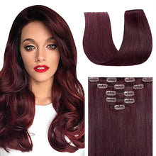 Load image into Gallery viewer, VIP Clip Extensions / Silky Straight 24" (170 g) - ClipeX System
